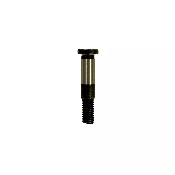 Tornillo Para Rodillo Cosedora Portátil Newlong - 243061